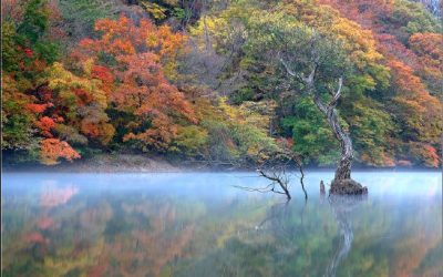 [안내]녹색오름 11월 산행 함께 하실분..??