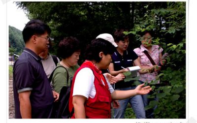 금대리 치악산 국립공원 모니터링 (7월7일)