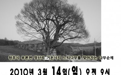 카페 나무 나무순례단 3.14.오전9시