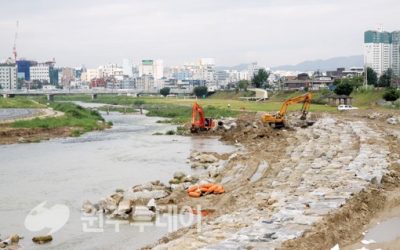 원주천생태하천 복원사업, 생태계 파괴(?)